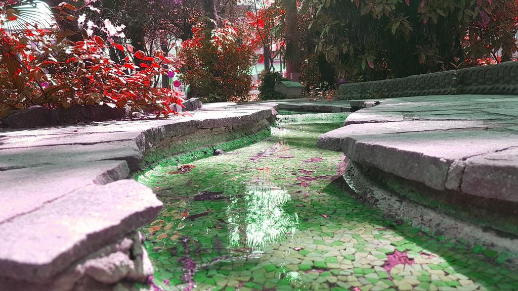 Hotel Terme Villa Piave Абано-Терме Екстер'єр фото
